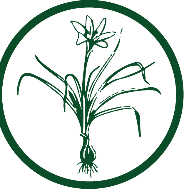 2026 Lowcountry Docent Class - logo